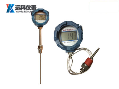 防爆數(shù)字溫度計(jì)